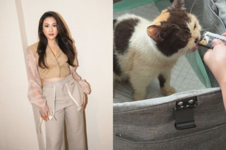 Sherina Munaf Beri Keterangan Polisi Soal Kucing Uya Kuya Dijarah