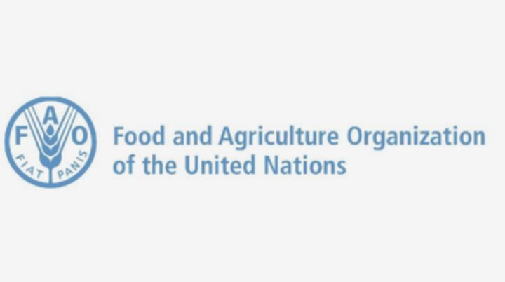 FAO Umumkan Kenaikan Indeks Harga Pangan Global, Picu Kekhawatiran