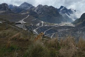 Bahlil Amankan 12% Saham Freeport: RI Makin Untung!