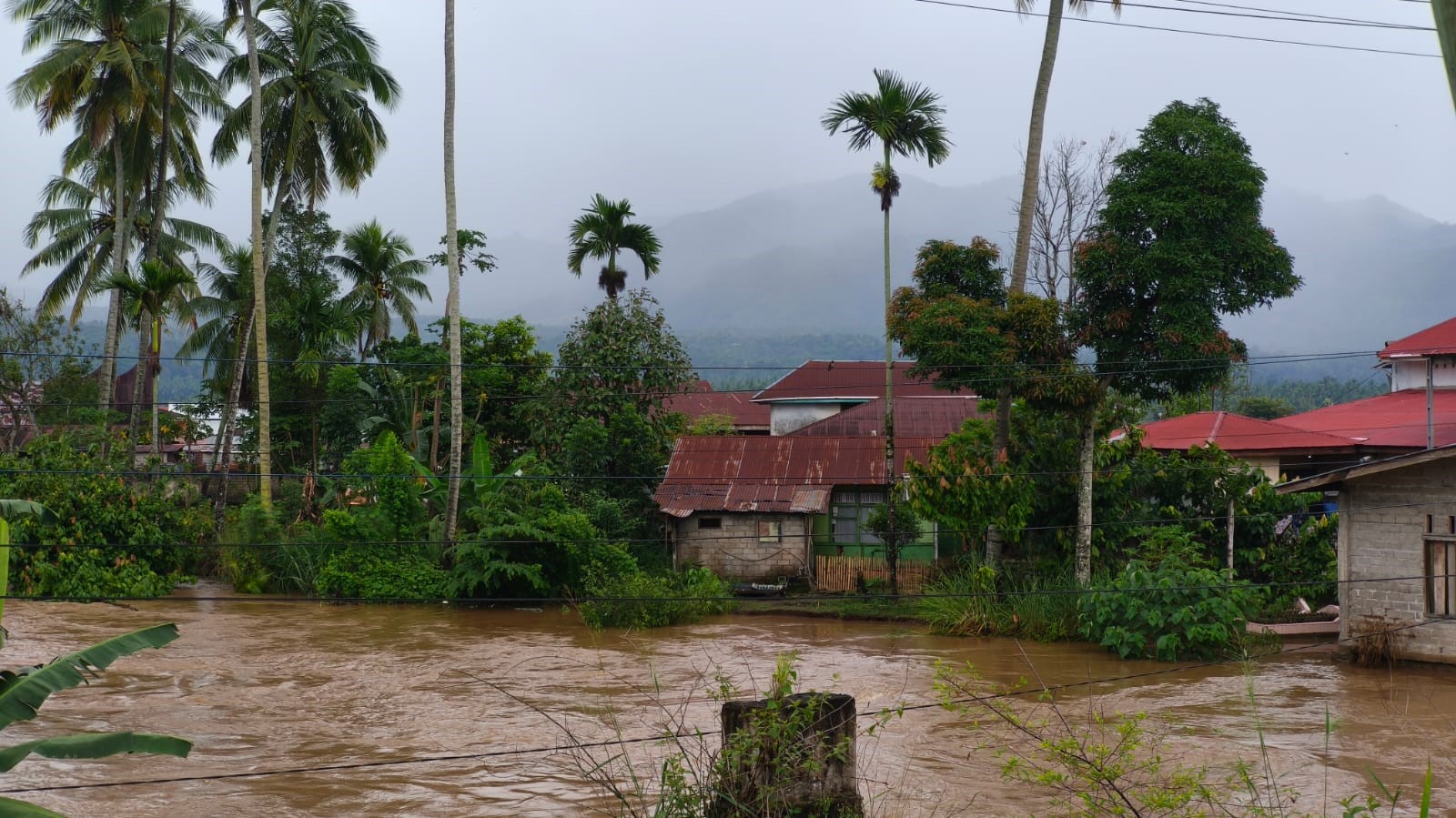 Hujan Deras Picu Banjir, Sumbar Siaga Evakuasi Warga