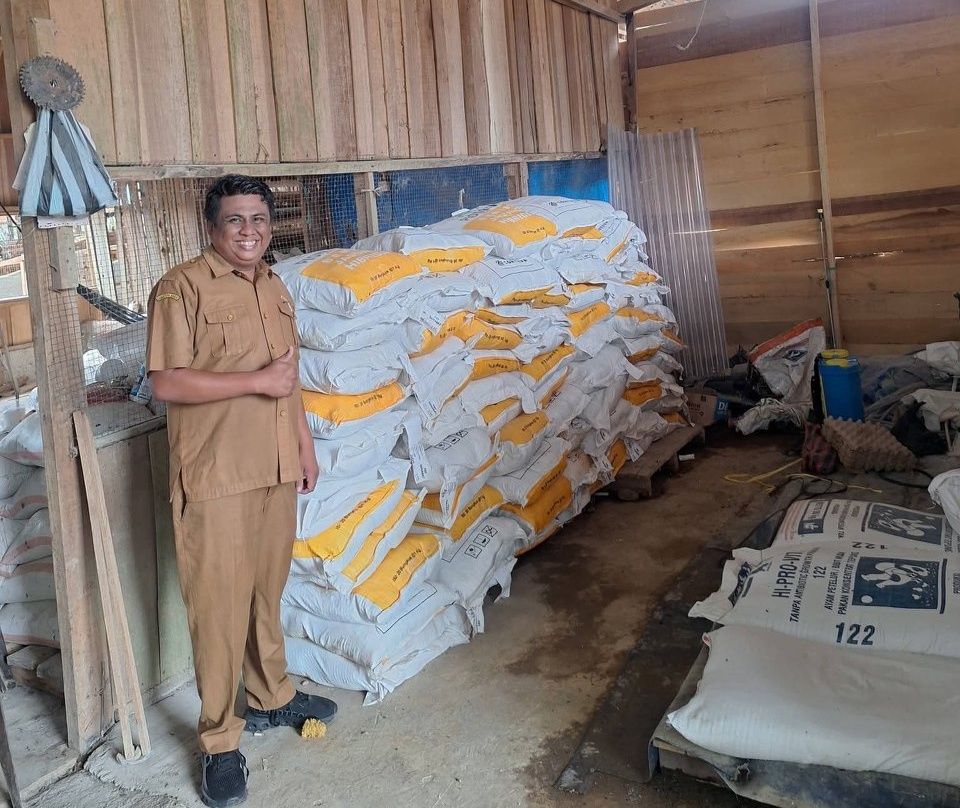 Bupati Pacu Petani Dharmasraya Tanam Jagung Hibrida Unggul
