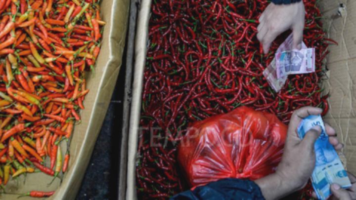 Harga Cabai dan Daging Ayam Ras Kompak Turun Hari Ini