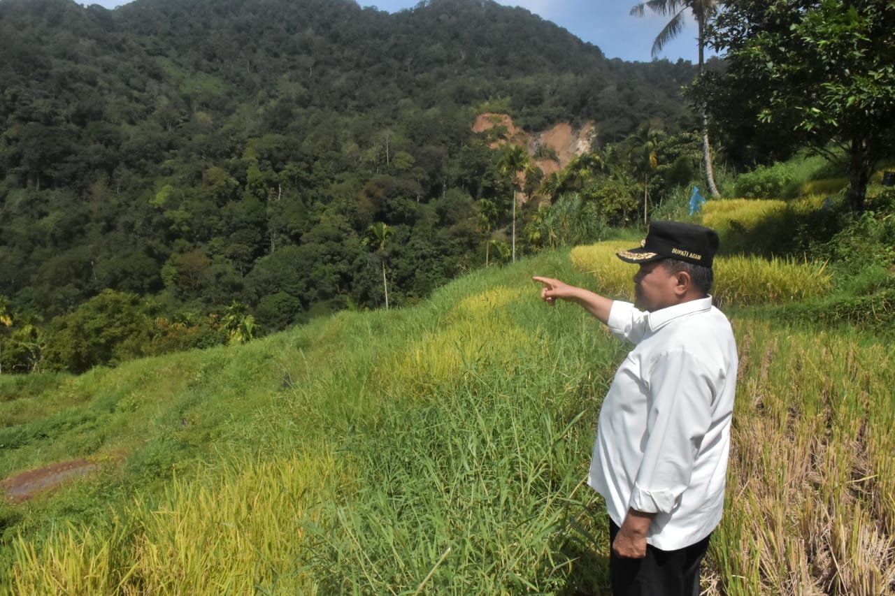 Bupati Agam Pantau Sumber Banjir Bandang di Kelok 28