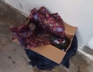 Warga Temukan Bayi di Kardus, Polisi Buru Pembuang