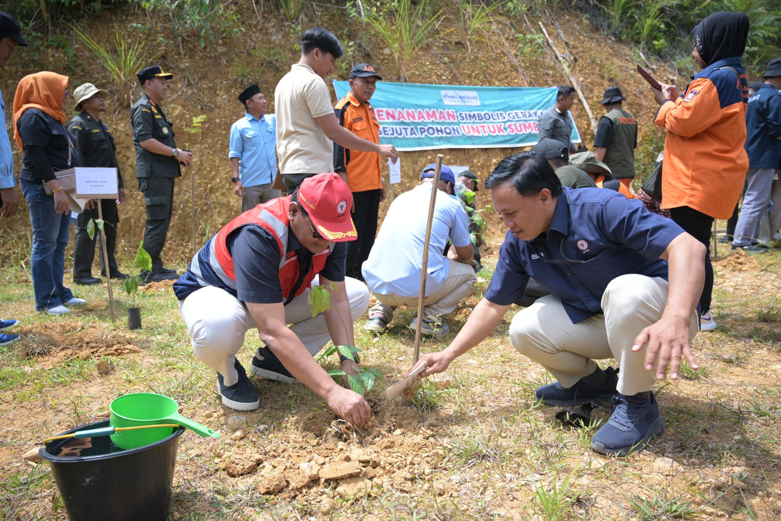 Sumbar Pulihkan Ekologi, Gerakan Sejuta Pohon Bergerak Masif