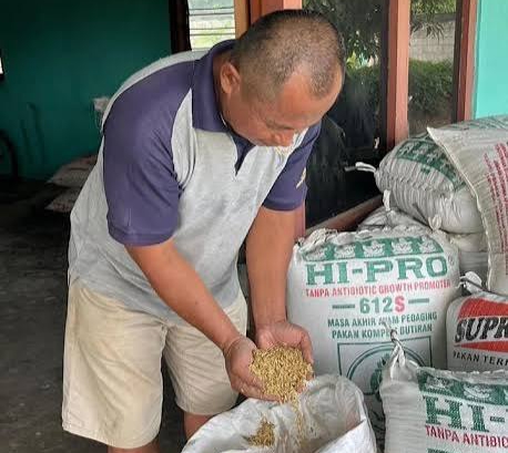 Pemerintah Pacu Serap 4 Juta Ton Beras, Bulog Bergerak