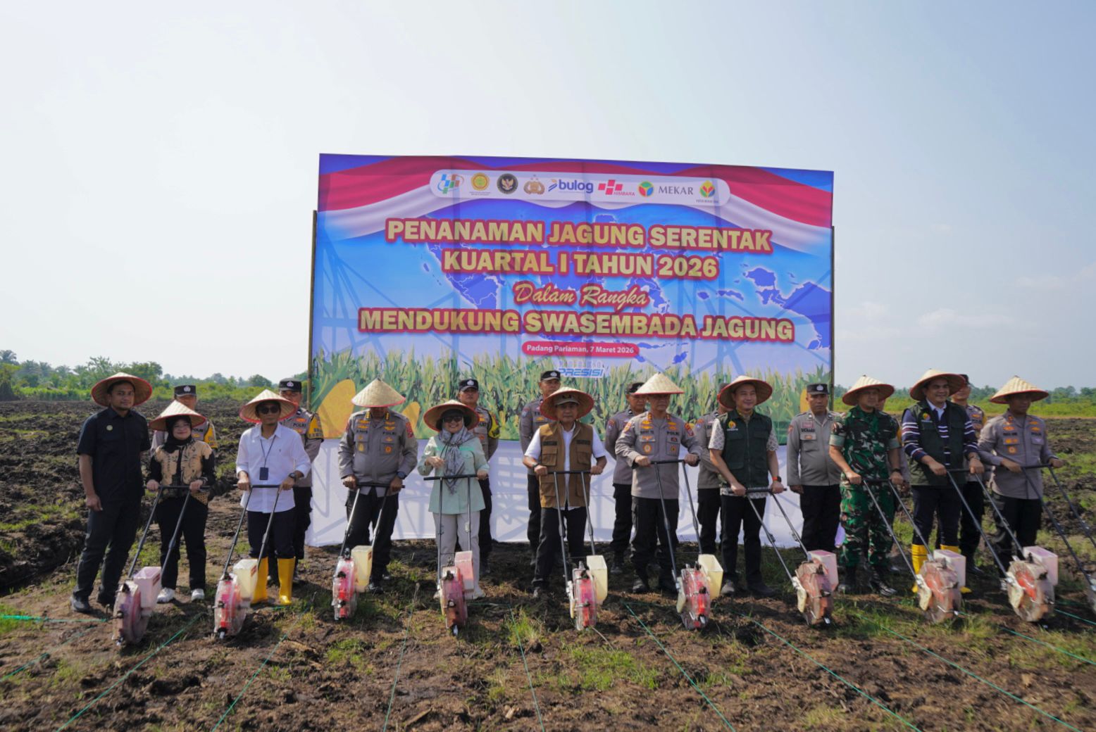 Bulog Pacu Produksi Jagung, Petani Sumbar Semangat Menanam