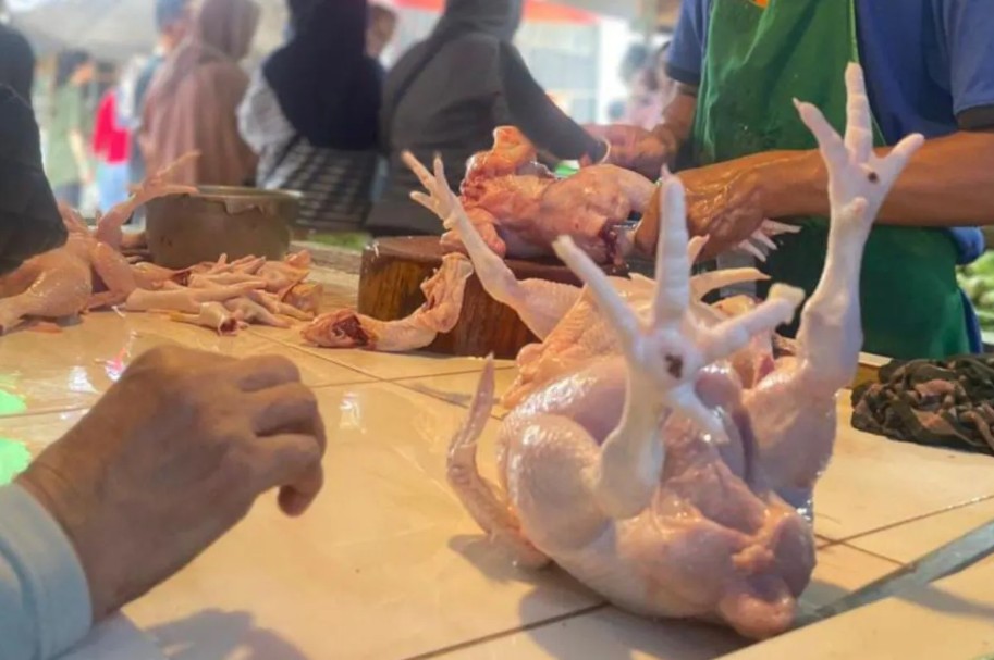 Dharma Jaya Tekan Harga Ayam Jakarta Jelang Lebaran