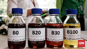 Biofuel Pacu Kemandirian Energi, Gantikan Pertalite dan Pertamax