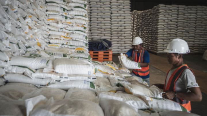 Bulog Bangun 88 Gudang Baru untuk Perkuat Stok Pangan Nasional