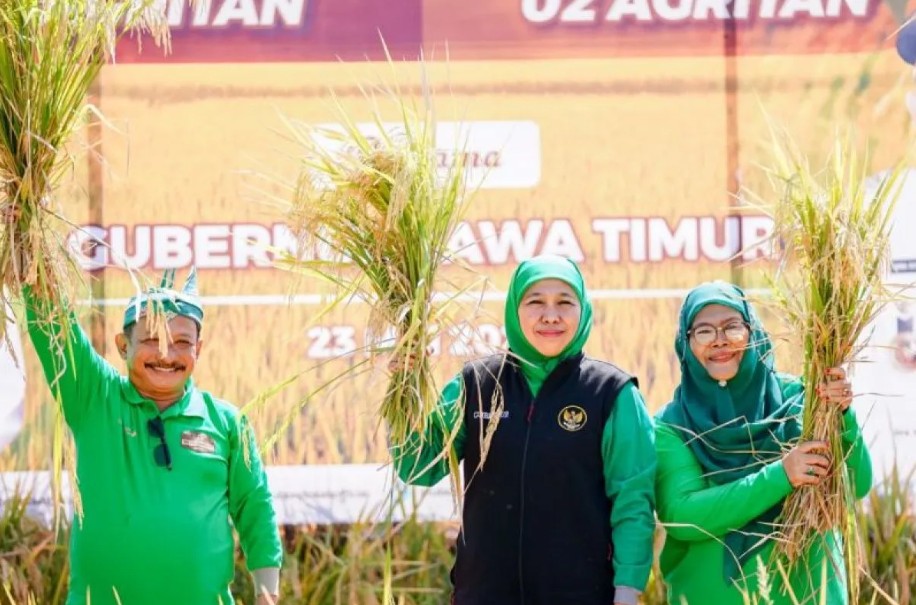 Khofifah Gerakkan Daerah Antisipasi Kemarau, Jaga Pangan