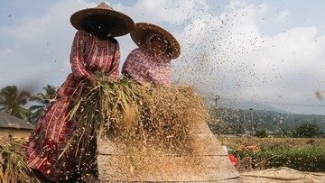 Konflik Timur Tengah Pacu Harga Pangan Global Meroket