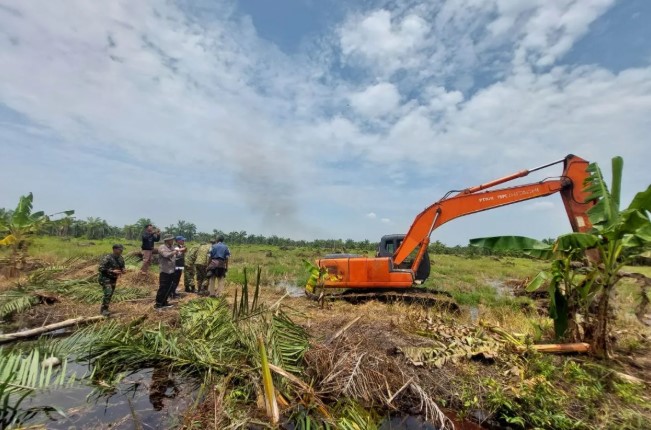 Satgas PKH Garuda Tertibkan, Pulihkan Suaka Margasatwa Sumut