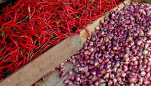 Harga Cabai dan Bawang Merah di Lubuk Basung Turun
