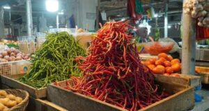 Pasokan Melimpah, Harga Cabai Padang Panjang Anjlok
