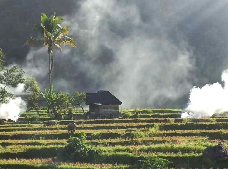 Kemendagri Verifikasi 13 Nagari Agam Siap Menjadi Definitif