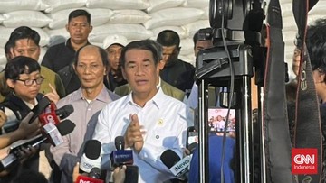 Amran: Stok Beras Bulog Tembus 5 Juta Ton