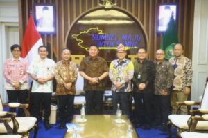 Herman Deru Dorong Pemerataan Akses Listrik di Seluruh Sumsel