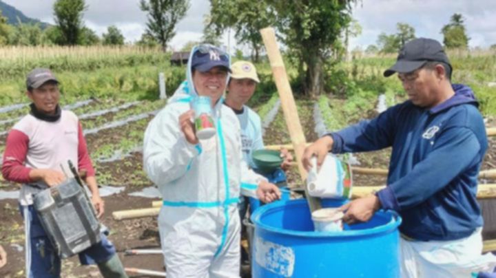 PGE, UGM, dan Agrotekno Produksi Pupuk Organik Ramah Lingkungan