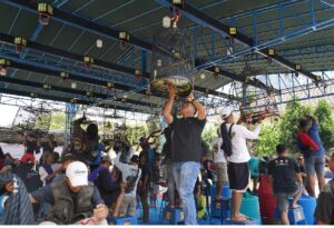 Mendag Busan Dorong Ekonomi Komunitas Burung Kicau