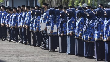 Bulog Kaji Proposal Tunjangan Beras ASN Kembali