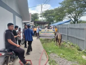 Warga Huntara Lubuk Buaya Terima Bantuan Tiga Sapi Kurban