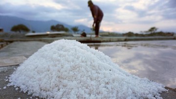 Pemerintah Percepat Pembangunan Sentra Industri Garam di Rote Ndao