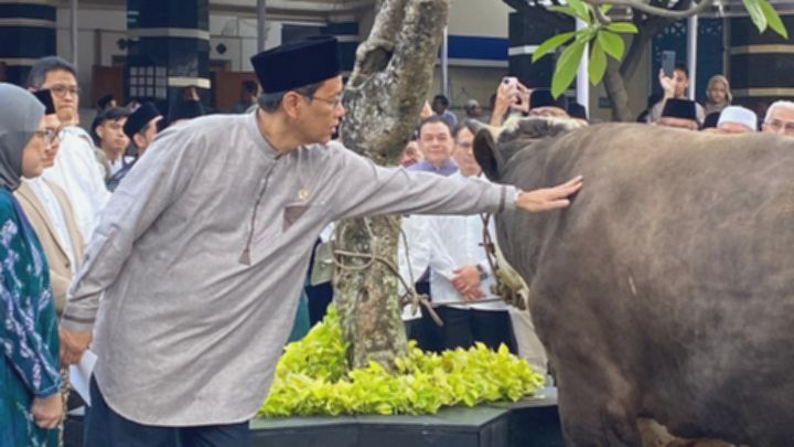 Purbaya Berkurban Sapi Pakai Dana Pribadi Usai Batal Berhaji