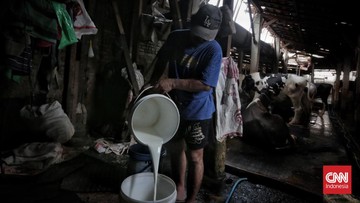 Kementan Pacu Populasi Sapi Perah Tekan Ketergantungan Impor Susu