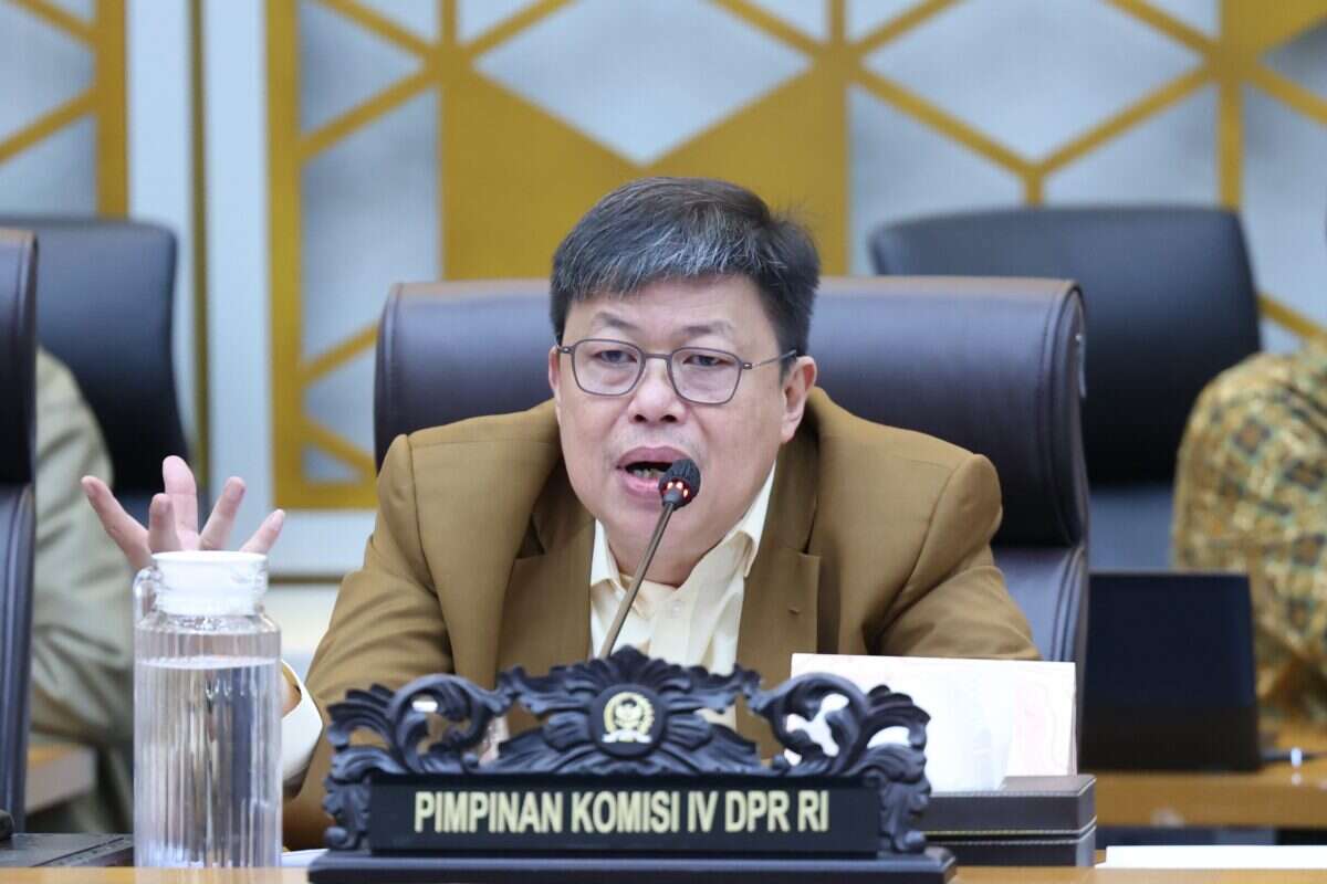 Komisi IV DPR Minta Kemenhut Prioritaskan Anggaran Perlindungan Hutan
