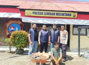 Polres Pasaman Barat Ringkus DPO Pencuri Sawit di Sungai Aur
