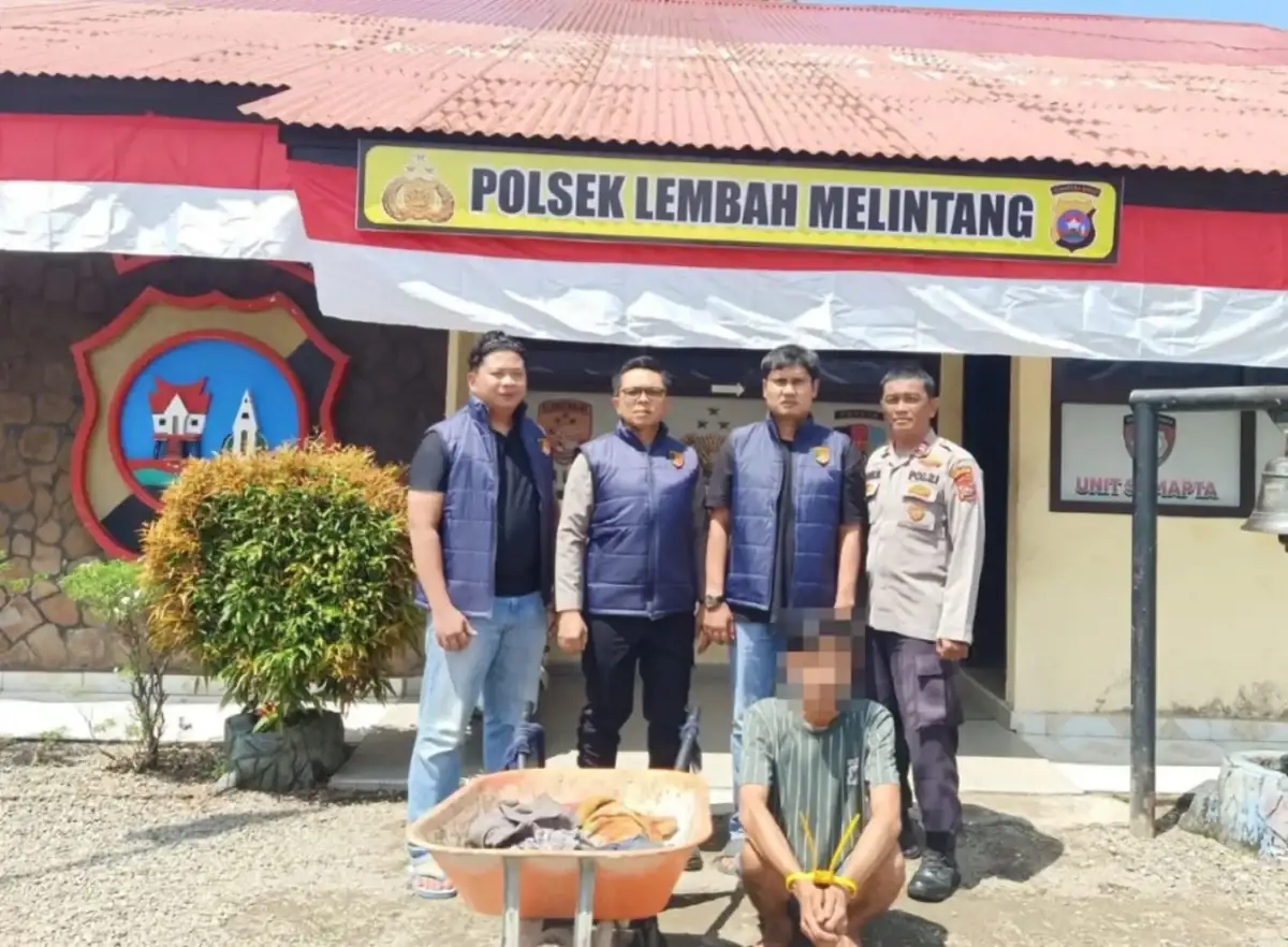 Polres Pasaman Barat Ringkus DPO Pencuri Sawit di Sungai Aur