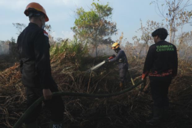 BRIN Kaji Metode Pembakaran Terkendali Atasi Lonjakan Karhutla Delapan Kali Lipat