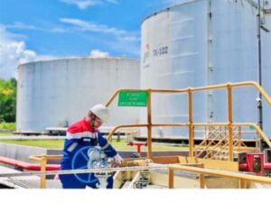 Elnusa Garap Proyek CEOR Offshore Pertama untuk Genjot Produksi Migas