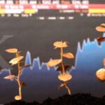 6 Aplikasi Trading Saham Amerika Terbaik untuk Koleksi Saham Bluechip