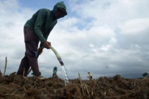 BMKG Prediksi Puncak Kemarau, 80 Persen Wilayah Alami Kekeringan