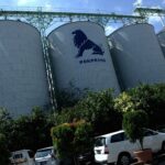 Potensi CPIN Keluar dari MSCI Ancam Dana Pasif Rp500 Miliar