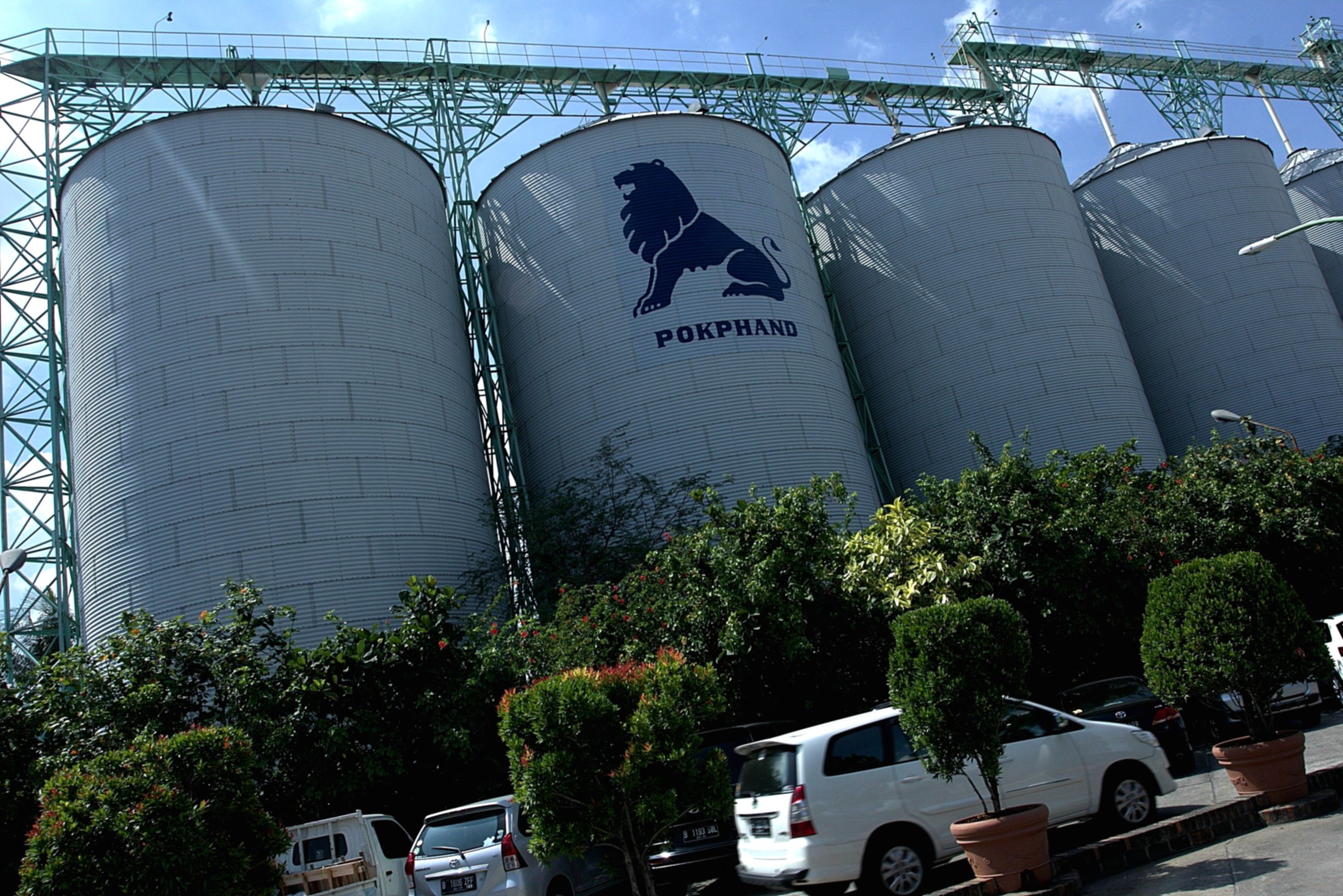 Potensi CPIN Keluar dari MSCI Ancam Dana Pasif Rp500 Miliar