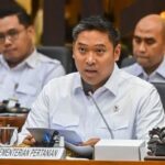 kementan-tetapkan-harga-ayam-hidup-rp19.500,-telur-rp24-ribu-per-kg