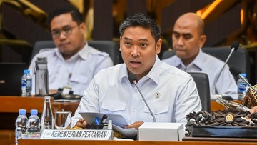 Kementan Tetapkan Harga Acuan Ayam dan Telur di Peternak