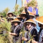 sinergi-bulog-dan-komisi-iv-dpr-dukung-kesejahteraan-petani