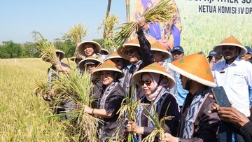 Bulog dan Komisi IV DPR Perkuat Sinergi Swasembada Pangan