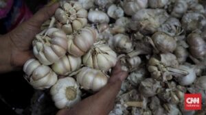 Harga Bawang Putih Melonjak di Ratusan Wilayah Indonesia