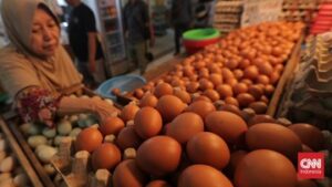 Program Makan Bergizi dan Akhir Suro Kerek Harga Pangan