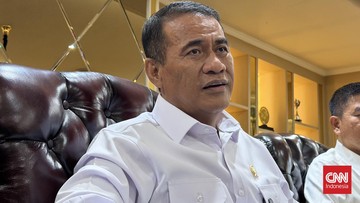 Amran Pastikan Kinerja Kementan Tetap Stabil Tanpa Wamentan