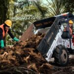 Prospek Saham Triputra Agro (TAPG) Tetap Menarik di Tengah Gejolak CPO
