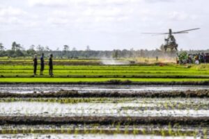 Ribuan Titik Panas Kepung Proyek Strategis Nasional di Papua Selatan