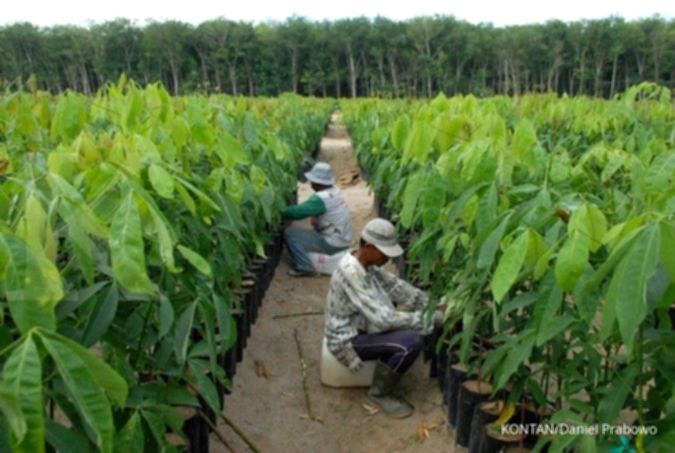 Bakrie Sumatera (UNSP) Terbitkan 14,50 Miliar Saham Baru, Simak Rinciannya