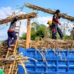 Pemerintah Wajibkan Industri Gula Miliki Kebun Tebu Sendiri