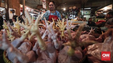 BPS Ungkap Pemicu Kenaikan Harga Daging Ayam di Daerah